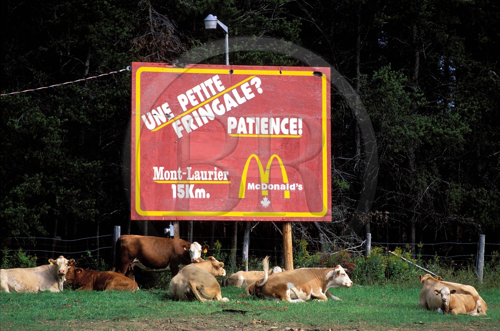 Canada, province de Québec, Abitibi-Témiscamingue, panneau publicitaire pour Mac Donald