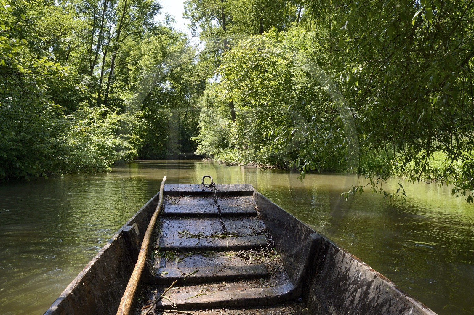France, Bas Rhin, Ebersmunster and Muttersholtz region, the Ried, small flat bottom boat on the Ill river