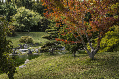France, Gard (30), Générargues vers Anduze, Bambouseraie en Cévennes, le jardin japonais