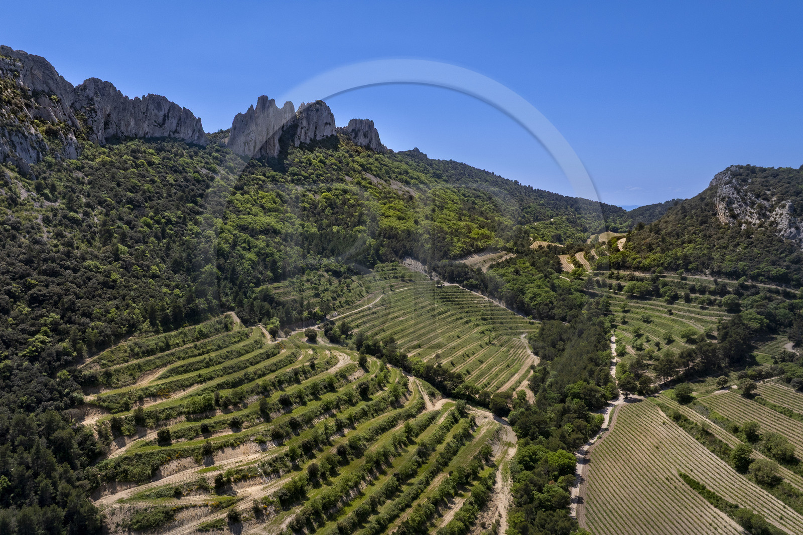 France, Vaucluse (84), Dentelles de Montmirail, Gigondas, la montagne des Dentelles Sarrasines et les vignobles en restanques (vue aérienne)