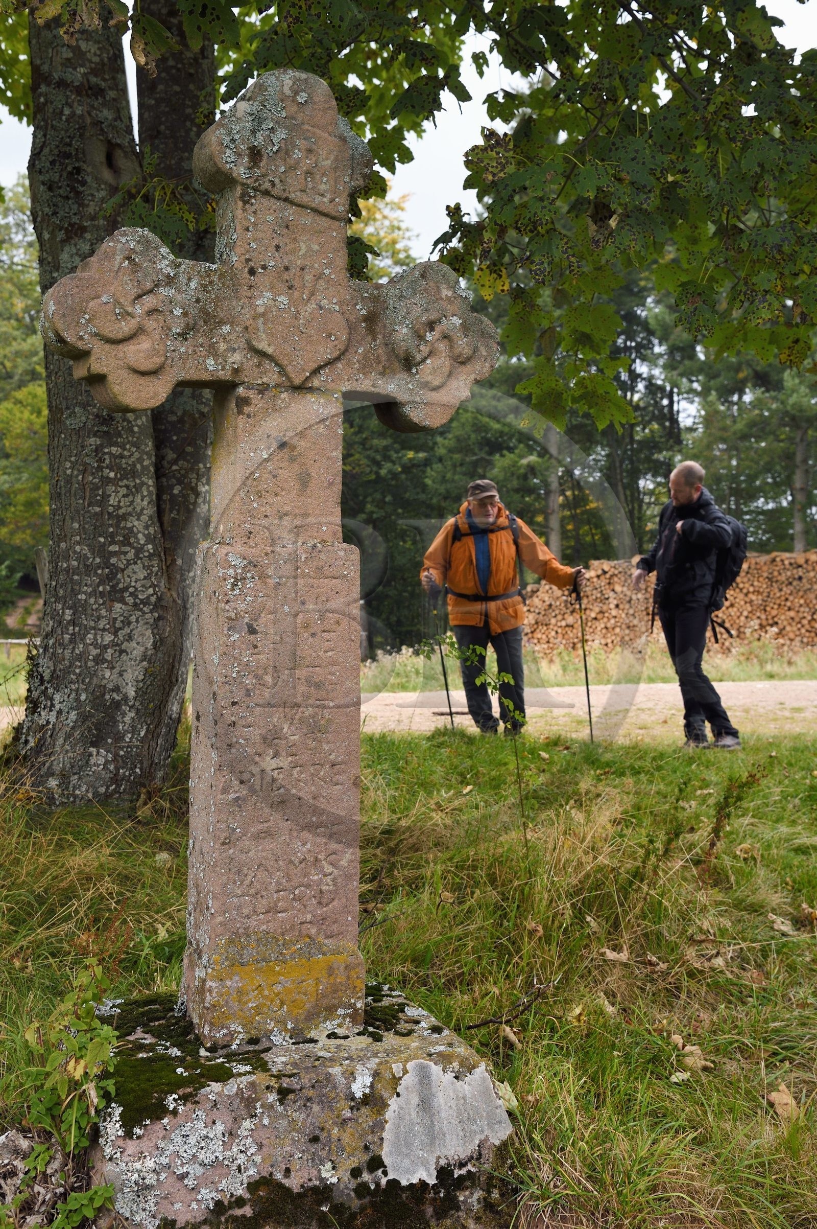 France, Haut-Rhin (68), Thannenkirch, randonnée dans le massif du Taennchel, croix datée de 1851 sur le haut du Schillig probablement dédiée à un bucheron décédé à cet endroit