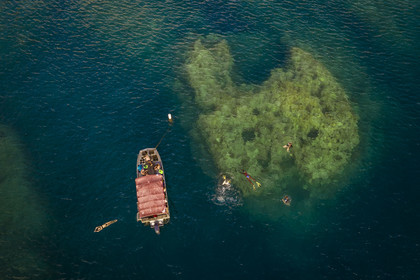 Caraïbes, Ile de la Dominique, baie de Soufrière, snorkeling au dessus d'un récif corallien (vue aérienne)