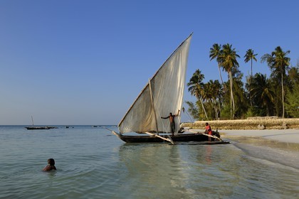 Tanzanie, archipel de Zanzibar, île de Unguja (Zanzibar), côte est, baie de Chwaka vers Michamvi, départ pour la pêche d'un dhow (boutre traditionnel)