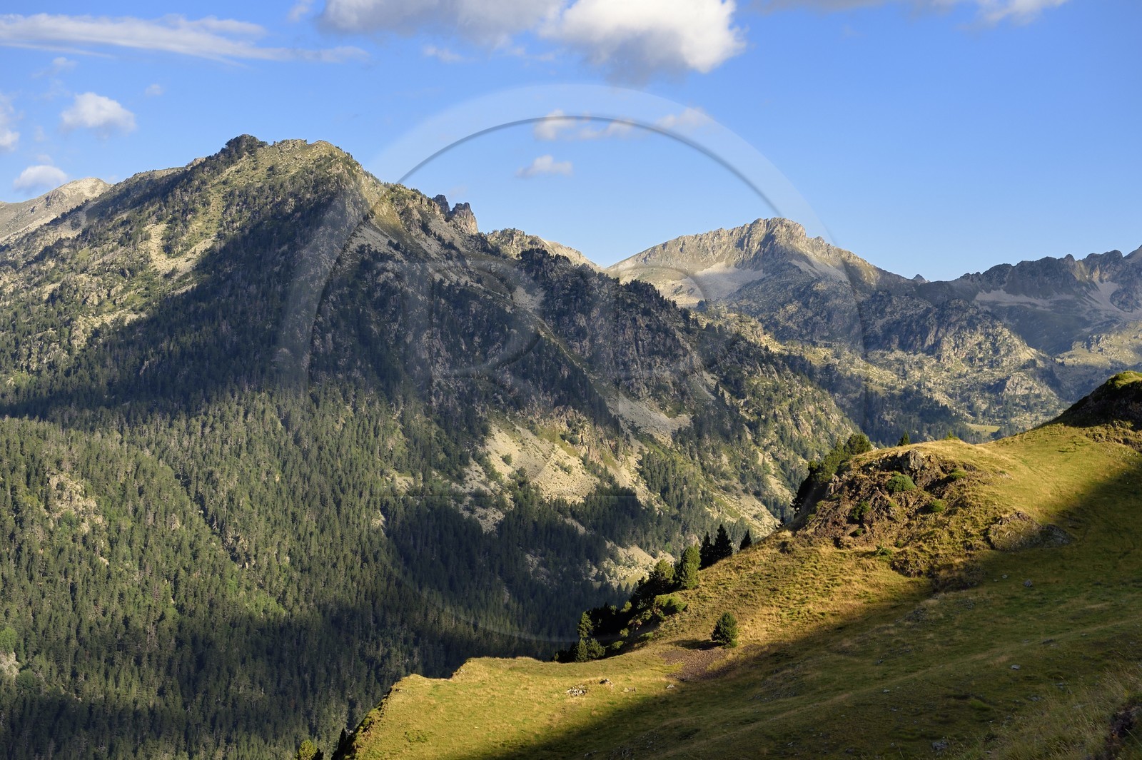 France, Hautes-Pyrénées (65), Saint-Lary-Soulan et Vielle-Aure, randonnée sur une variante du GR10 entre le col de Portet et les lacs de Bastan en bordure de la réserve naturelle de Néouvielle