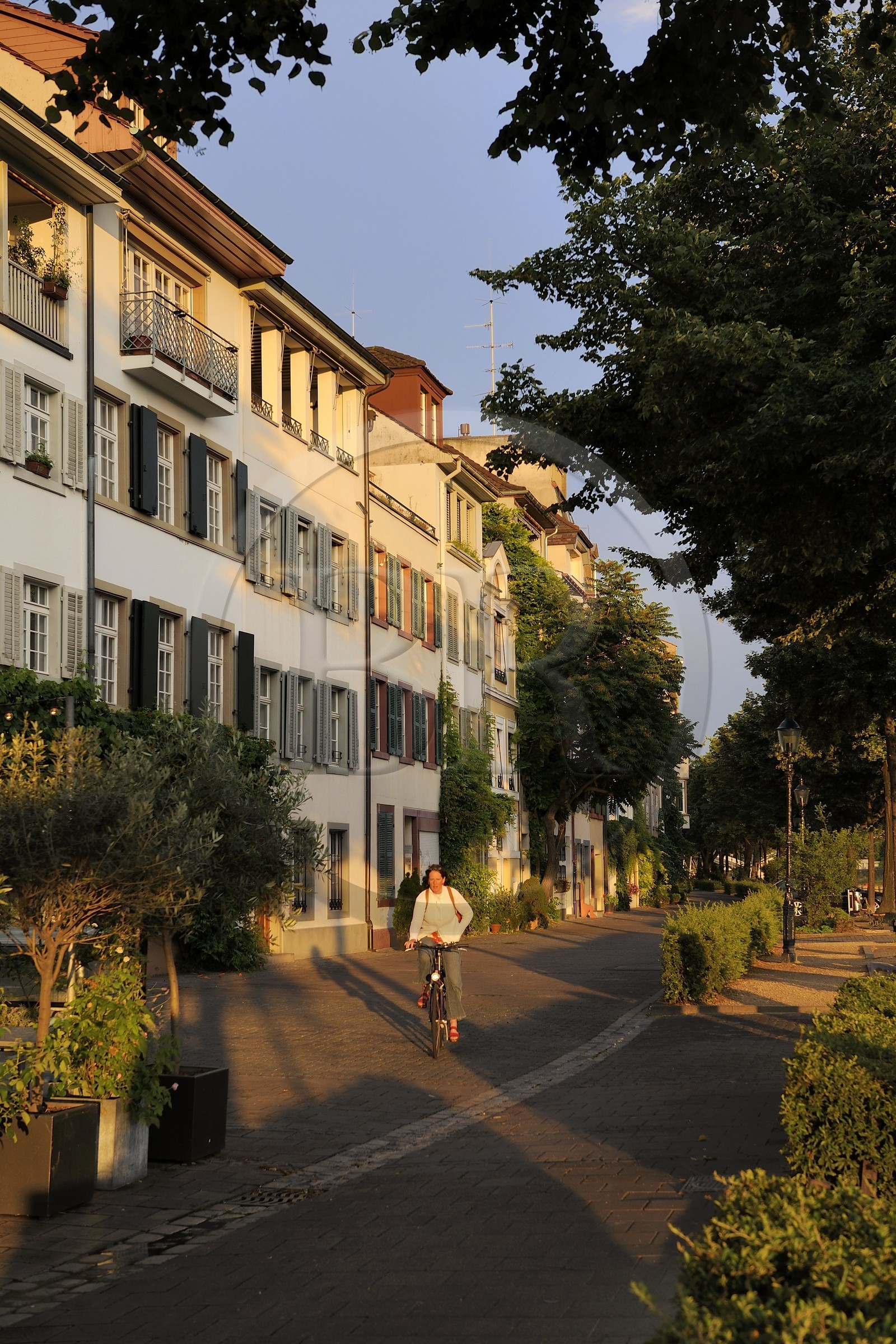 Suisse, Bâle, quartier du Petit Bâle sur la rive droite du Rhin