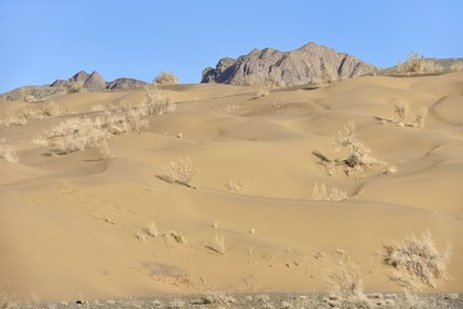 Iran, Province d'Ispahan, désert du Dasht-e Kavir, Mesr dans la région de Khur et Biabanak, dunes de sable au pied de la chaine de montagne de Dareh bidan