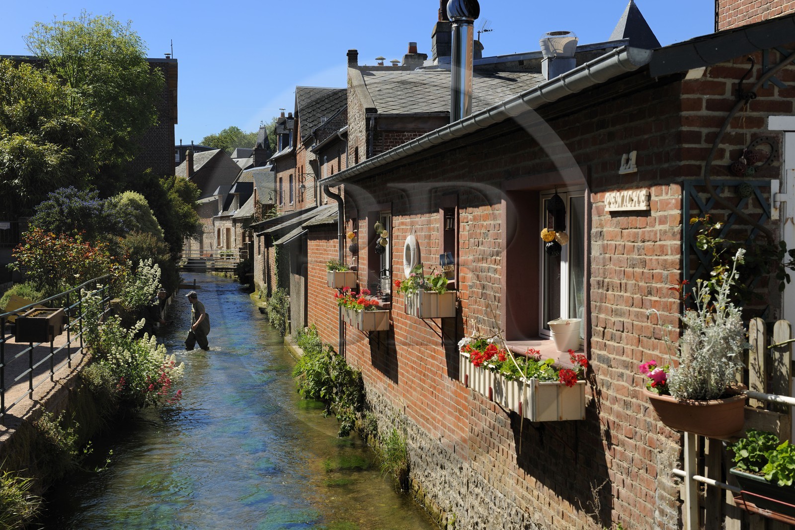 France, Seine-Maritime, the village of Veules-les-Roses is crossed by the Veules, famous river for the short length of its course (1100 m)