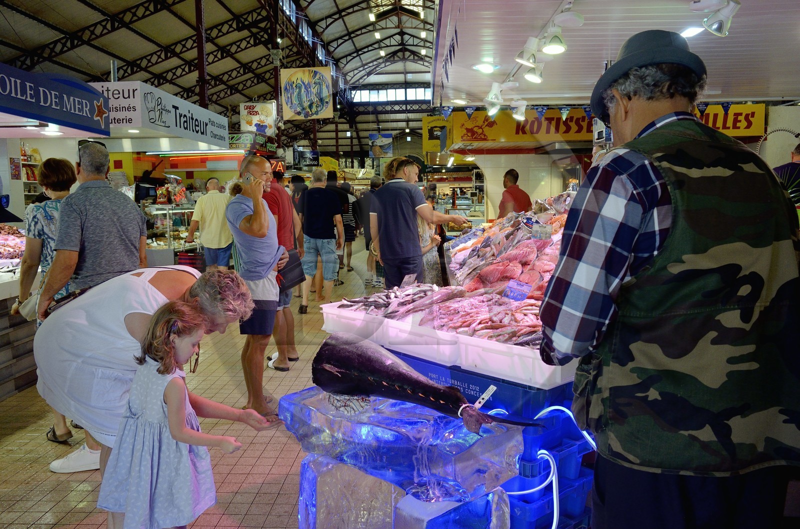 France, Aude (11), Narbonne, le marché couvert, poissonnier