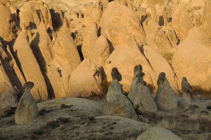 Turquie, Anatolie Centrale, province de Nevsehir, Cappadoce classée Patrimoine Mondial de l'UNESCO, paysage d'érosion et cheminées de fées entre Ürgüp et Avanos à Devrent Deresi