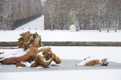 France, Yvelines (78), château de Versailles, classé Patrimoine Mondial de l'UNESCO, le bassin d'Apollon par Tuby avec le char d'Apollon