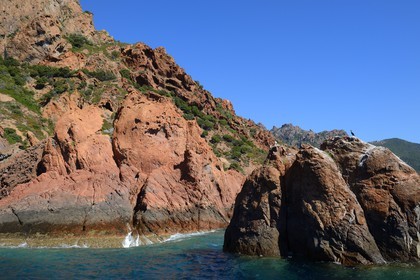 France, Corse-du-Sud (2A), Golfe de Girolata, classé Patrimoine Mondial de l'UNESCO, Réserve naturelle de la presqu'île de Scandola