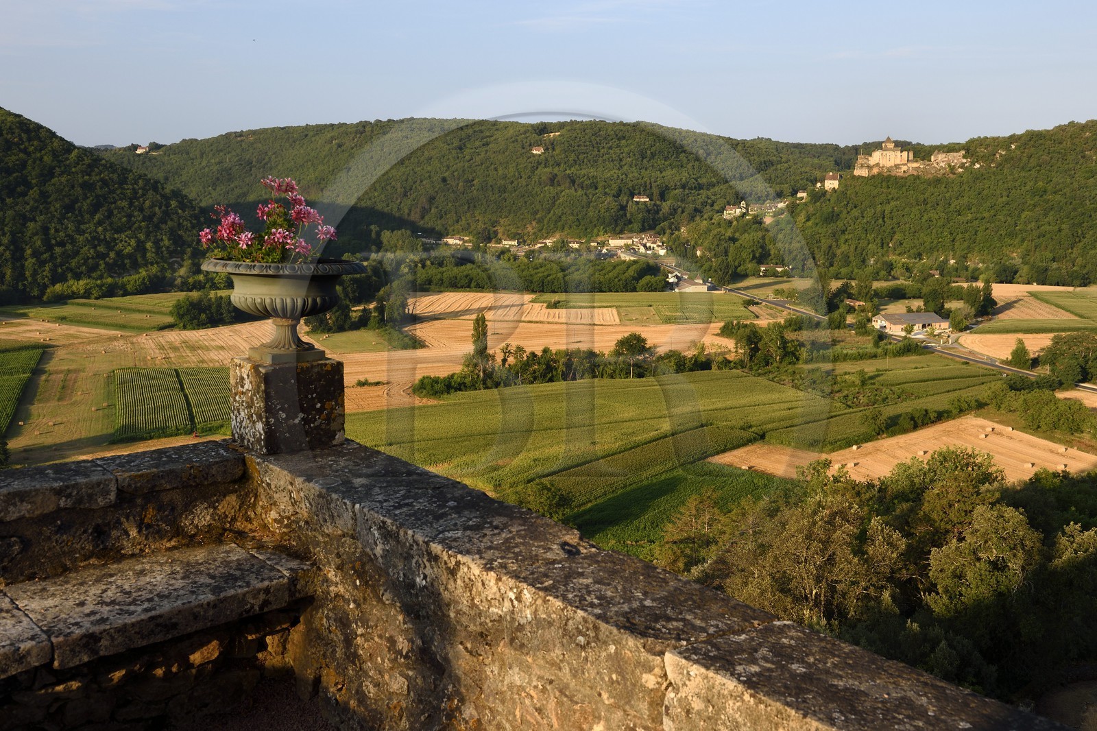 France, Dordogne, Perigord Noir, Dordogne Valley, Vezac, park from Les Jardins de Marqueyssac of the 18th century and the Castelnaud -la-Chapelle Castle in the background