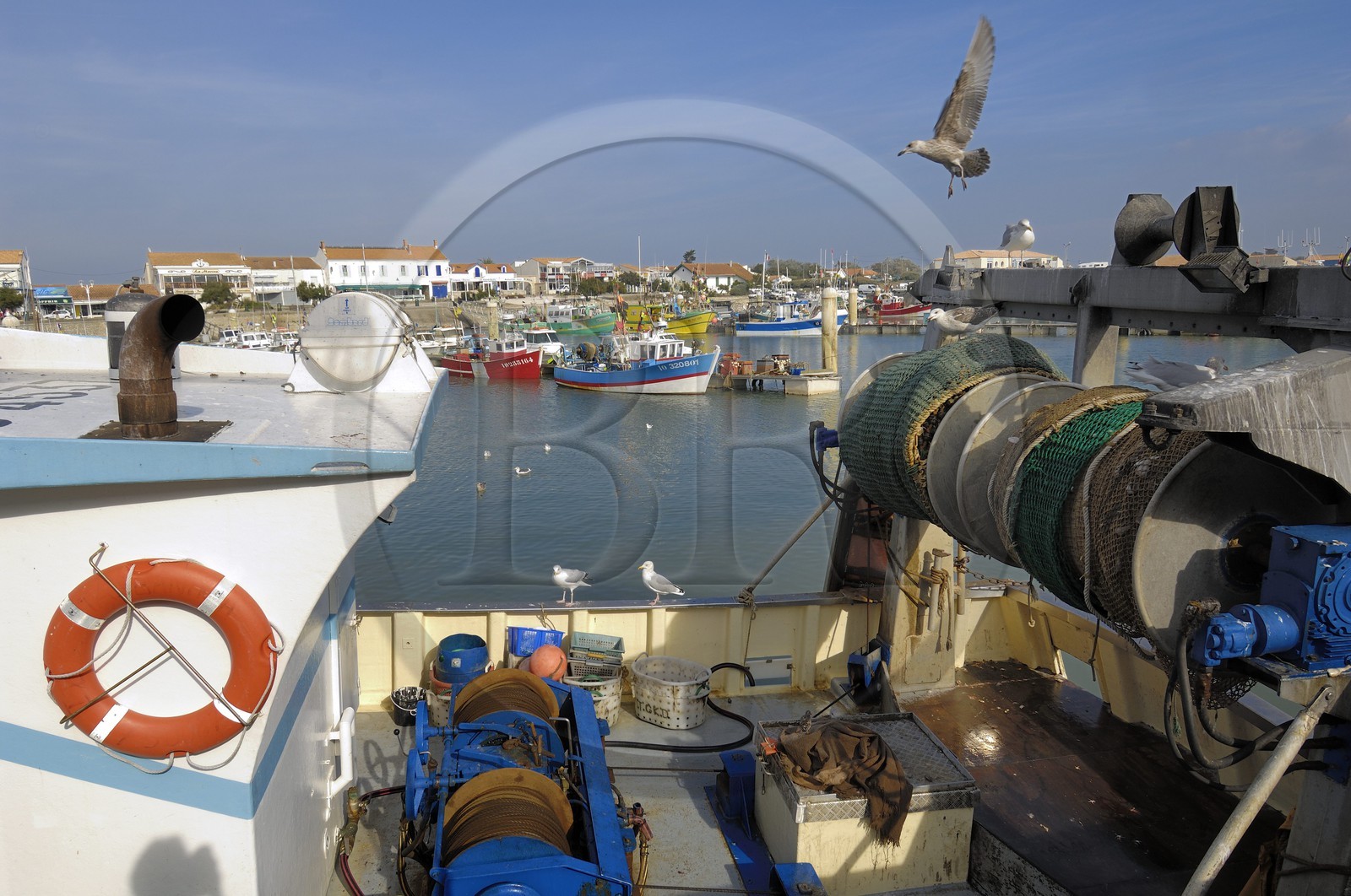 France, Charente-Maritime (17), Ile d'Oléron, port de la Cotinière