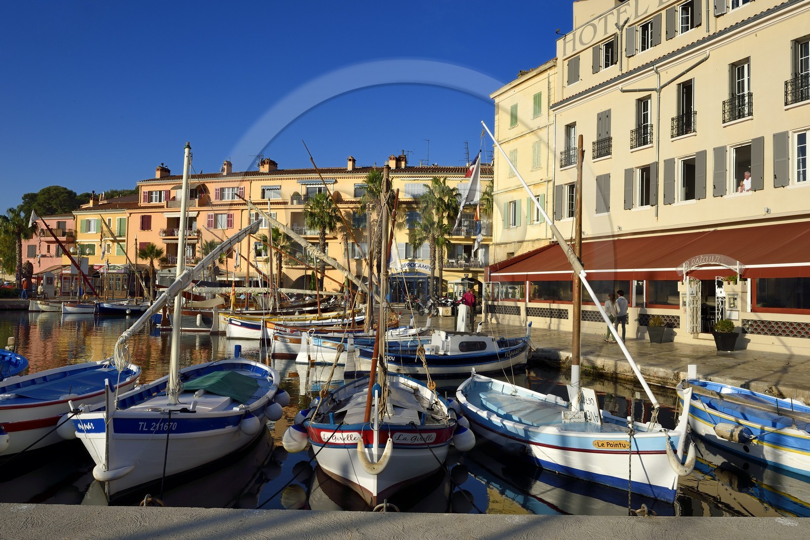 France, Var (83), Sanary-sur-Mer, barques traditionnelles de peche appelées pointus sur le port