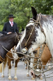 Argentine, province de Buenos Aires, San Antonio de Areco, fête du Jour de la Tradition (Dia de la Tradicion), travail d'orfèvre sur un harnais en argent utilisé lors de grandes occasions par un     estanciero (gaucho propriétaire d'un ranch)