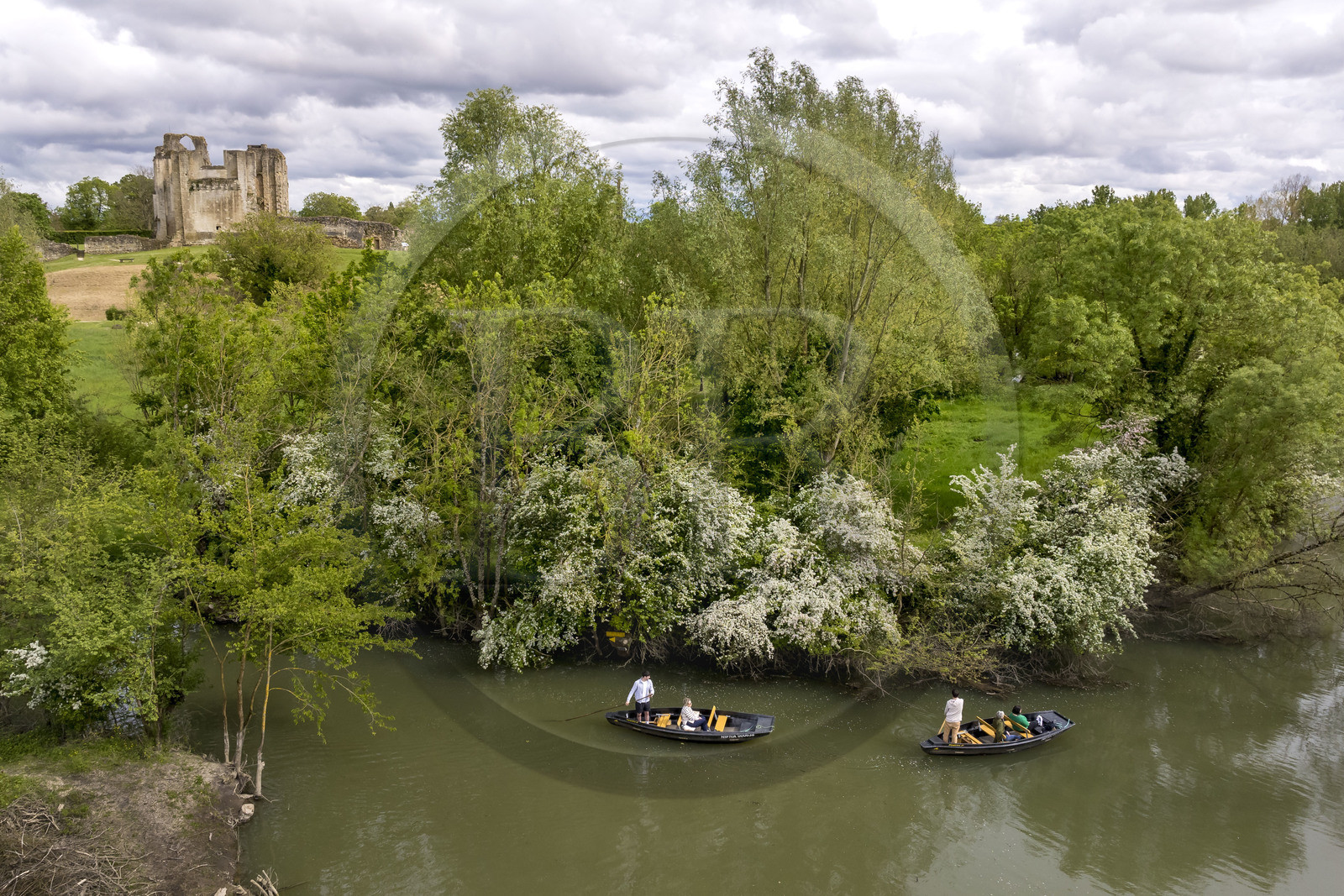 France, Vendée (85), Parc Interrégional du Marais Poitevin labellisé Grand Site de France, Maillezais, batelier effectuant une promenade en barque sur les affluents de l'Autise, les vestiges de l'abbaye Saint-Pierre de Maillezais en arrière plan (vue aérienne)