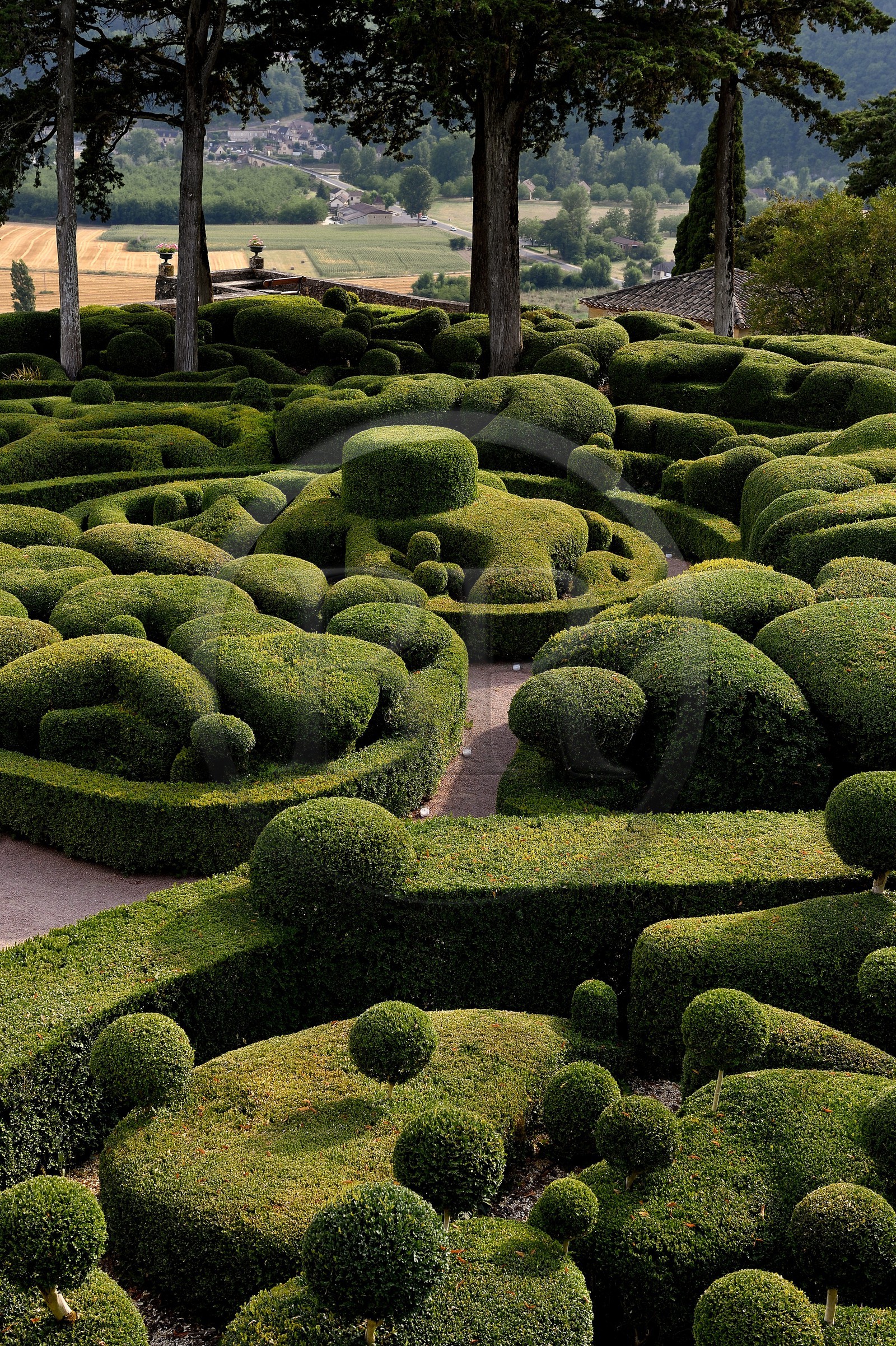 France, Dordogne (24), Périgord Noir, vallée de la Dordogne, Vézac, les jardins du château de Marqueyssac du XVIIIe siècle, jardins de buis en terrasse inspirés par André Le Nôtre