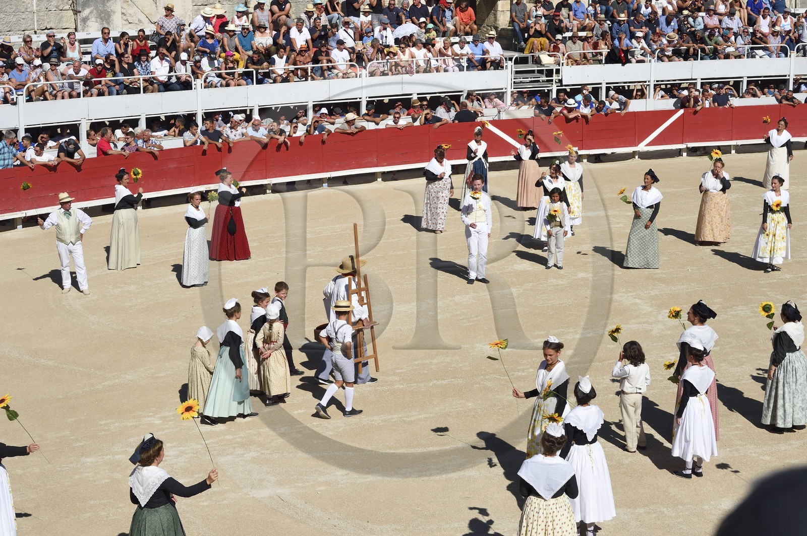 France, Bouches du Rhone, Arles, show before the course camarguaise of the Cocarde d'Or at the Arenas