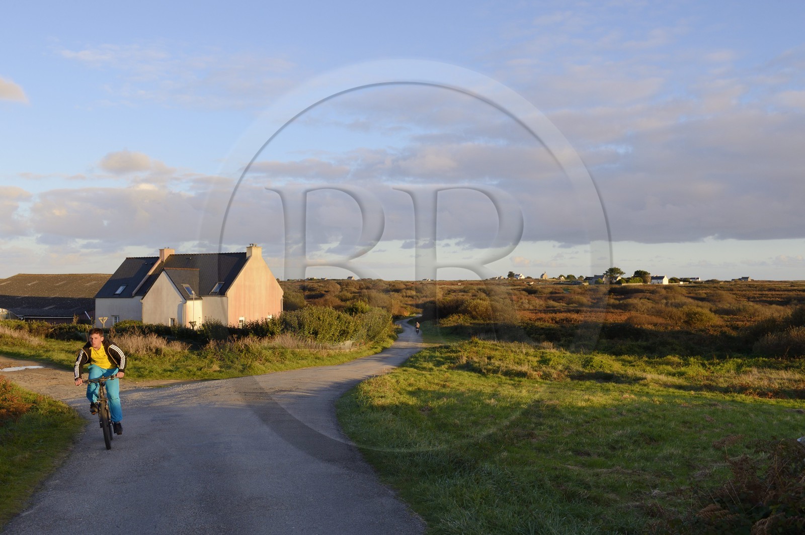 France, Finistere, the regional natural park of Armorica, Iroise sea, Ouessant island, Biosphere reserve (UNESCO),
