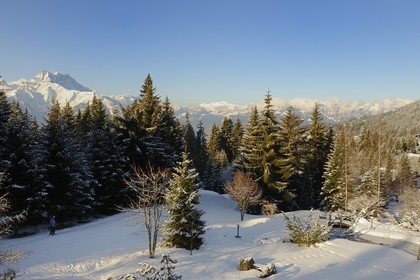 Switzerland, Canton of Vaud, Villars sur Ollon