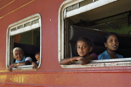 Sri Lanka, Province d'Uva, trajet en train dans la région montagneuse de la culture du thé entre Badulla et Ella