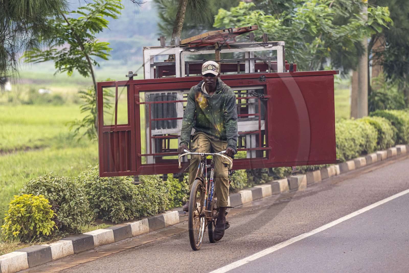 Rwanda, Province de l’Est, Ruhanga, transport de cadre de porte et de fenêtres sur une bicyclette sur la route de Kigali, les bicyclettes sont le principal moyen de transport local