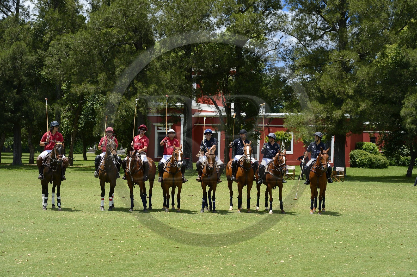 Argentine, province de Buenos Aires, San Antonio de Areco, estancia La Bamba de Areco, match de polo