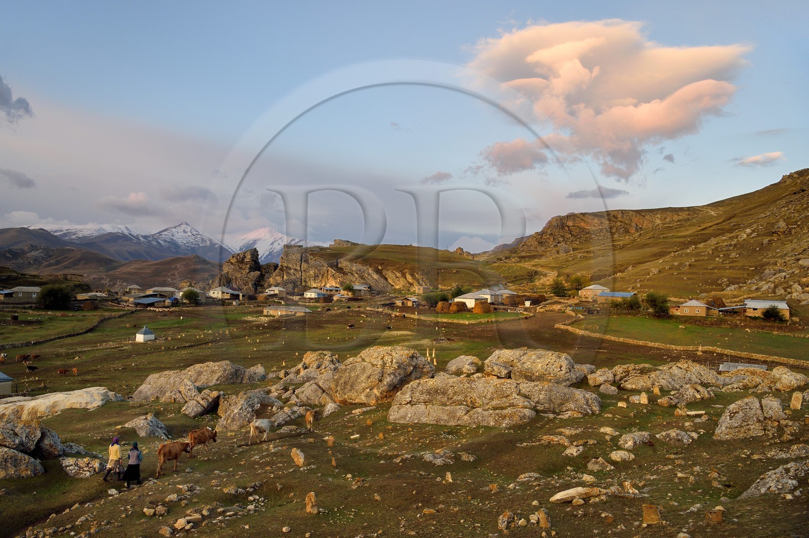 Azerbaïdjan, région de Quba (Guba), chaine de montagne du Grand Caucase, village de Giriz à l'aube, femmes amenant leurs vaches au prés