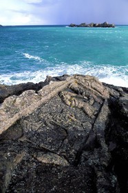 France, Ille-et-Vilaine (35), Rotheneuf, rocher sculpté par l'abbé Fouré entre 1870 et 1902