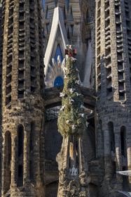 Espagne, Catalogne, Barcelone, quartier de l'Eixample, basilique de la Sagrada Familia de l'architecte du modernisme catalan Antoni Gaudi classée Patrimoine Mondial de l'UNESCO, façade de la Nativité et le cyprès symbolisant l'Arbre de la Vie