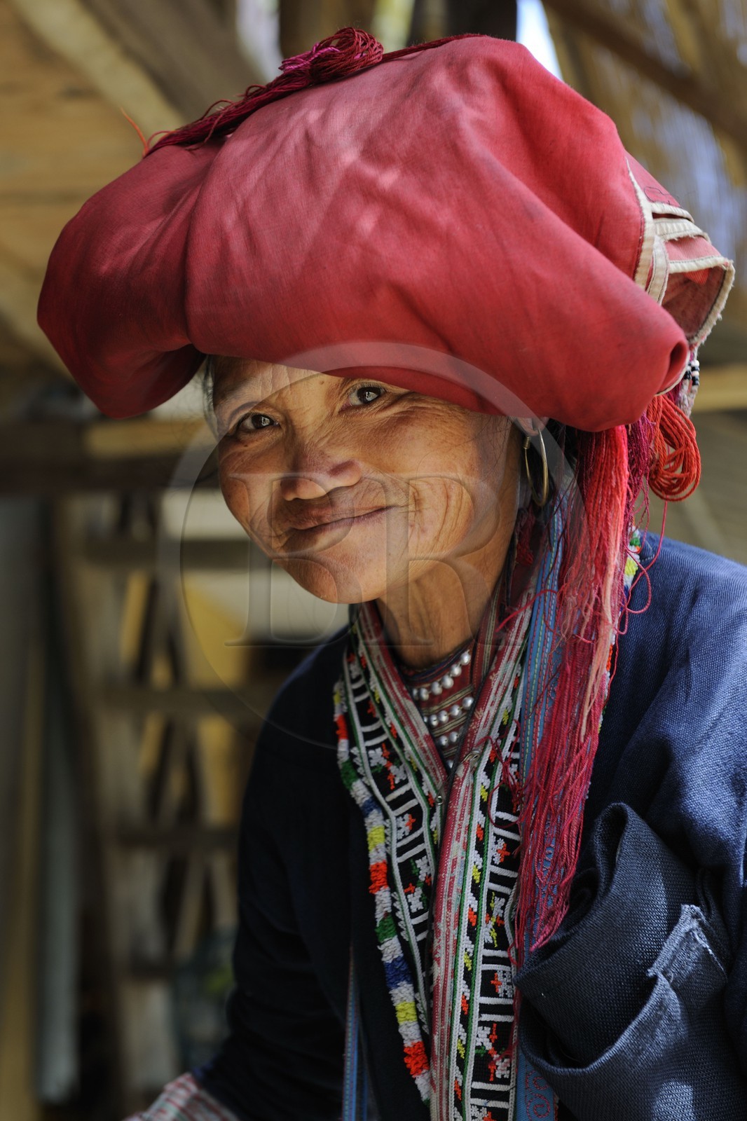 Vietnam, Lao Cai province, Sapa district, Ta Phin, Red Dzao ethnic minority woman