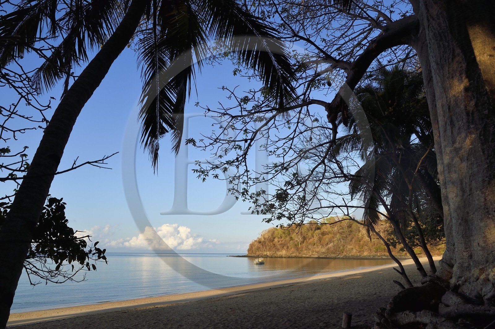 France, Ile de Mayotte, Grande-Terre, Kani-Keli, plage de N’Gouja, le Jardin Maoré