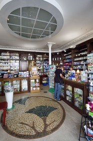 France, Meurthe-et-Moselle (54), Nancy, pharmacie du Ginkgo de style Art Nouveau, décoration intérieure par Louis Majorelle