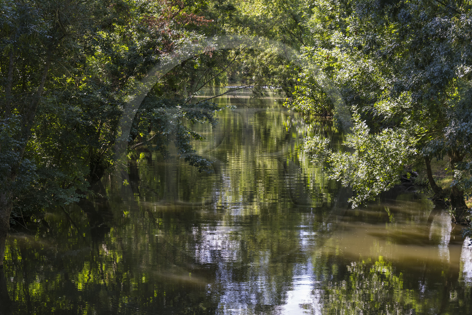 France, Deux-Sèvres (79), le Marais Poitevin, la Venise Verte, Le Vanneau-Irleau, un des innombrables canaux