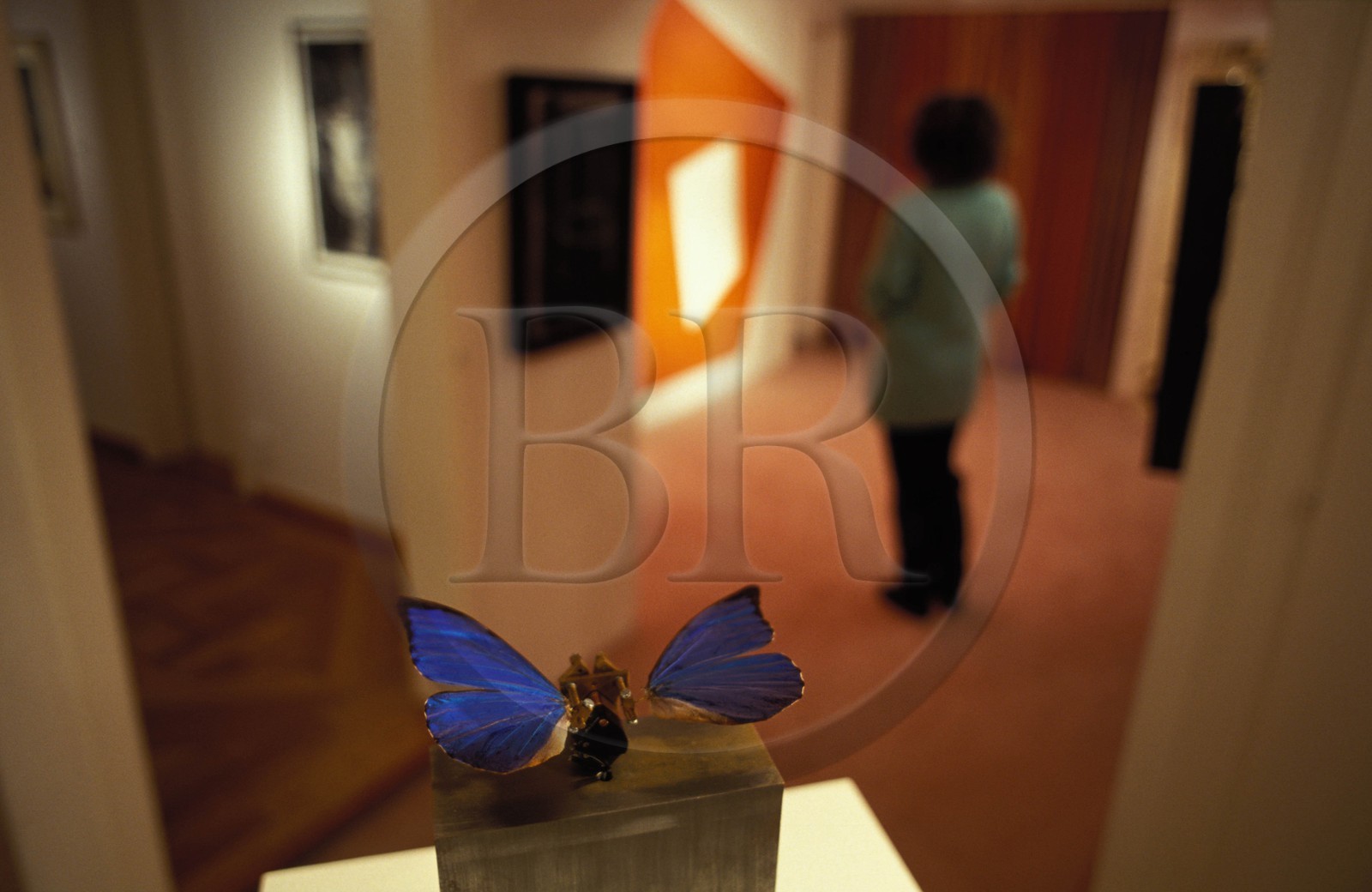 Suisse, région de Bern (Oberland Bernois), Saanenland, Gstaad, galerie d'art contemporain Saqqârah