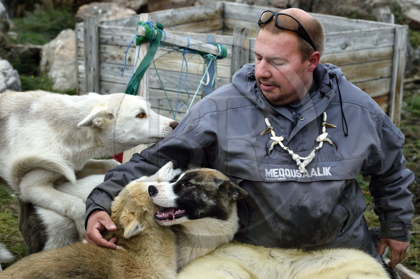 Groenland, cote ouest, Uummannaq, l'éleveur de chiens de traineau Malti Suulutsun portant un pantalon en peau d'ours