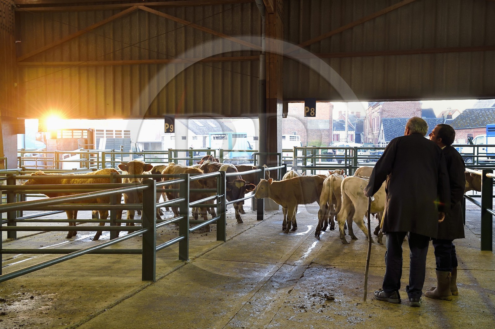 France, Seine-Maritime (76), Forges-les-eaux, marché couvert aux bestiaux