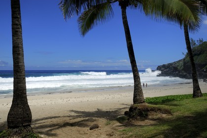 France, île de la Réunion, la côte sud, plage de Grand-Anse