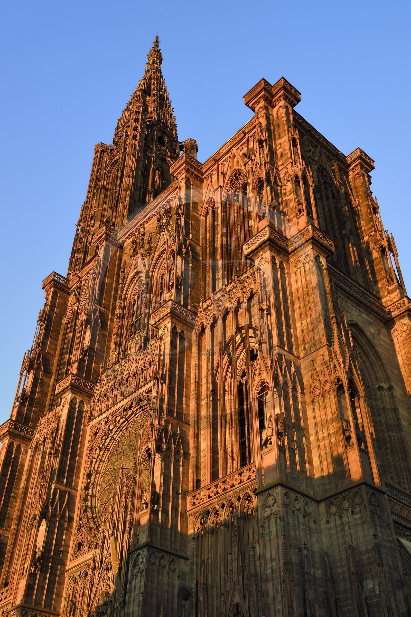 France, Bas-Rhin (67), Strasbourg, vieille ville classée au Patrimoine Mondial de l'UNESCO, la Cathédrale Notre Dame