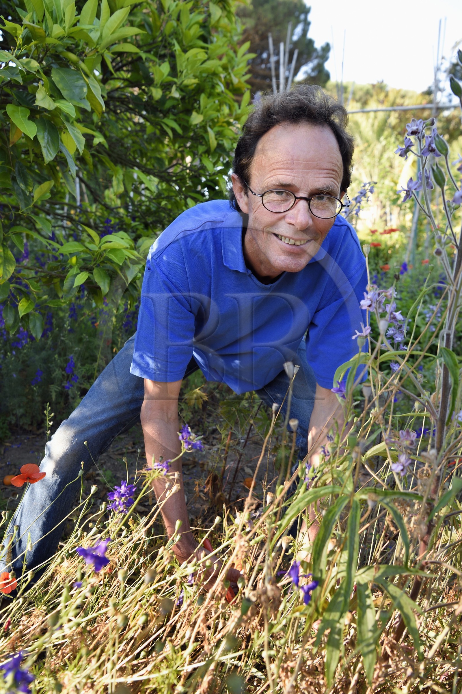 France, Var, Iles d'Hyeres, Parc National de Port Cros (National park of Port Cros), Porquerolles island, the gardener Antoine Durand in his dry garden