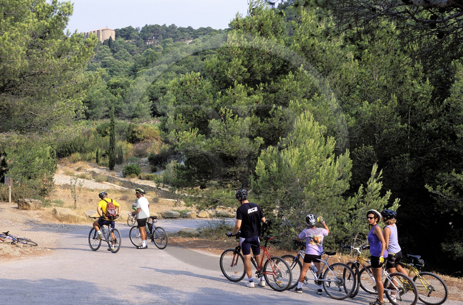 France, Aude (11), le massif de la Clape, des cyclistes en promenade