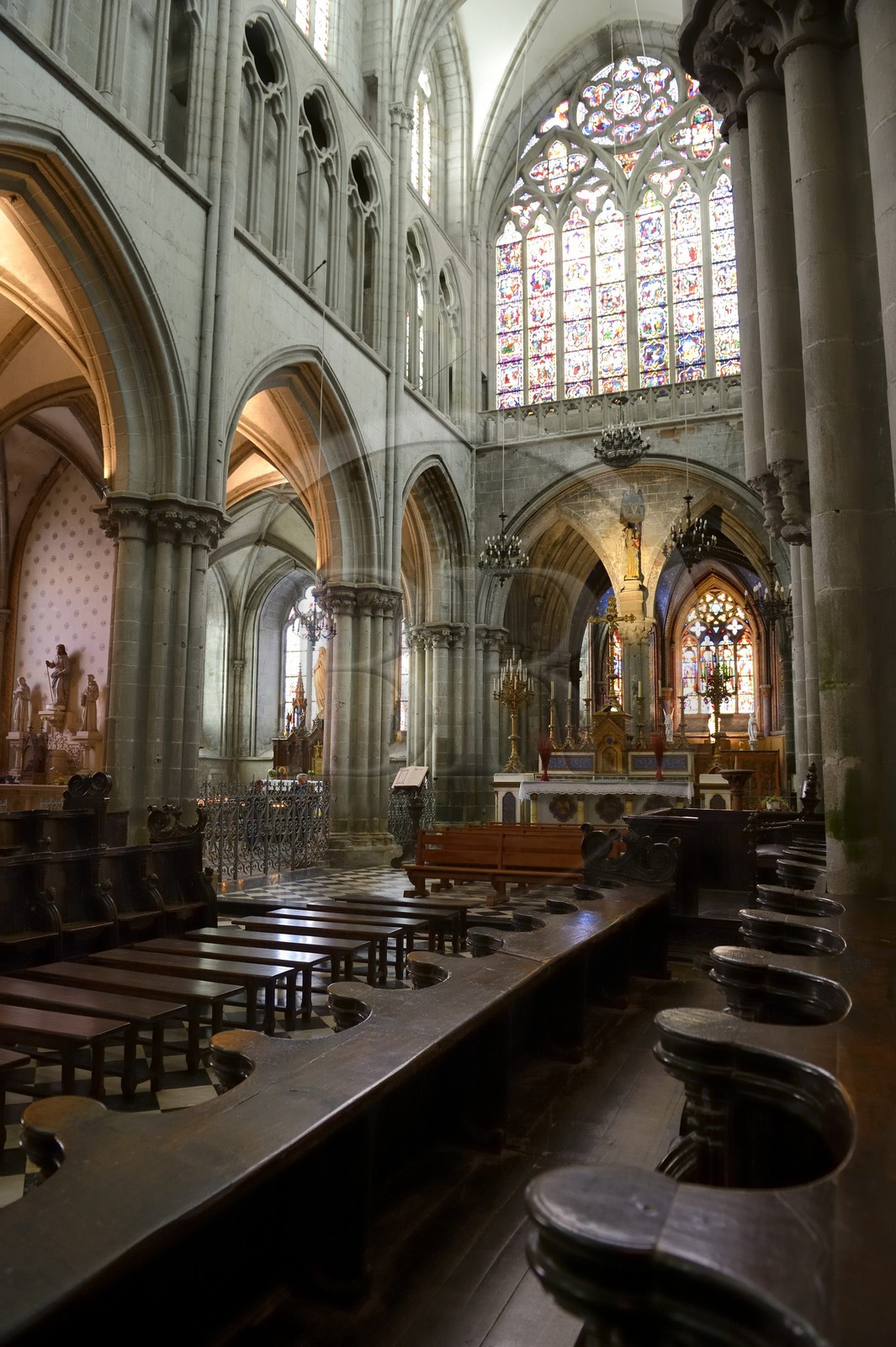France, Ille-et-Vilaine,  Bay of Mont Saint Michel, Dol de Bretagne, Saint Samson cathedral of gothic style, both sides of the choir are located 77 stalls dated from the fourteenth century