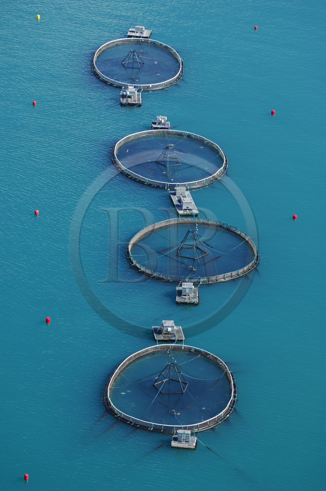 Norvège, Sor-Trondelag, pisciculture en mer (vue aérienne)