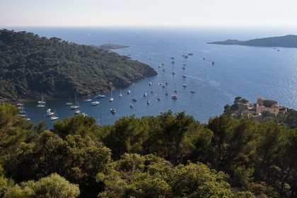 France, Var (83), Iles d'Hyères, parc national de Port Cros, Ile de Port-Cros, le Fort du Moulin à droite surplombe la rade de Port Cros, l'Ile de Bagaud qui est une réserve intégrale en arrière plan