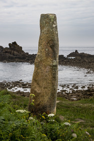 France, Finistère (29), Plougasnou, Primel-Trégastel, la Pointe de Primel à l'extrémité de la Baie de Morlaix, mégalithe appelé le menhir des marsouins sur le GR 34