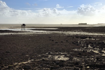 France, Charente-Maritime (17), Fouras, la Pointe de la Fumée à marée basse, le Fort Enet et le Fort Boyard en arrière plan