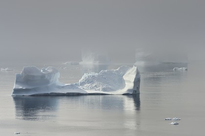 Groenland, cote ouest, Ile de Disko, baie du village de Qeqertarsuaq, icebergs dans la brume