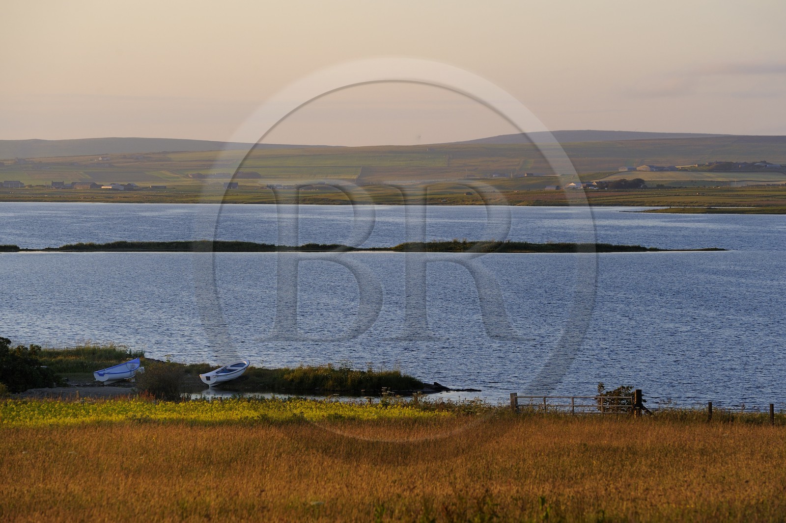Royaume-Uni, Ecosse, Iles Orcades, Ile de Mainland, le Loch of Stenness