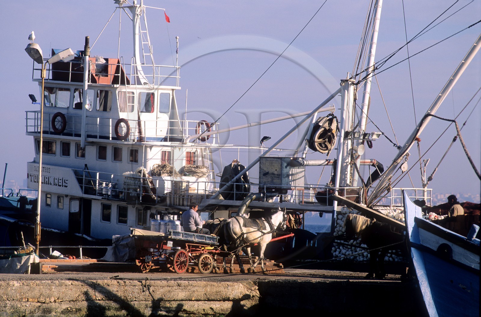 Turkey, Princes island (opposite Istanbul)