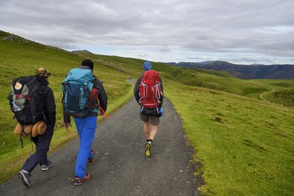 France, Pyrenees Atlantiques, Basque Country, Camino de Santiago (the Way of St. James) on the GR 65 between Saint Jean Pied de Port and Roncesvalles, pilgrim walking on the D428 on the Urculu mountain